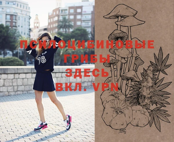 apvp Нягань