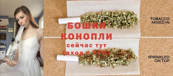 2c-b Нязепетровск