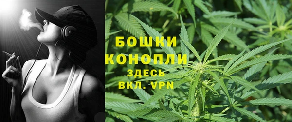 apvp Нягань