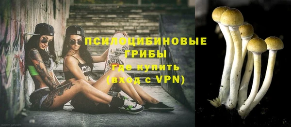 2c-b Нязепетровск