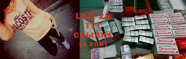 apvp Нягань