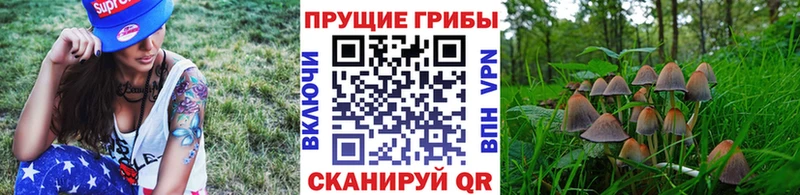 Галлюциногенные грибы Magic Shrooms  Владивосток 