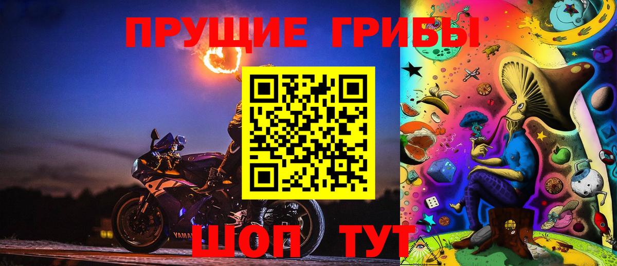 Псилоцибиновые грибы прущие грибы Владивосток