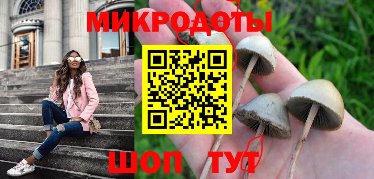 Галлюциногенные грибы мицелий  Вход с VPN  Владивосток 