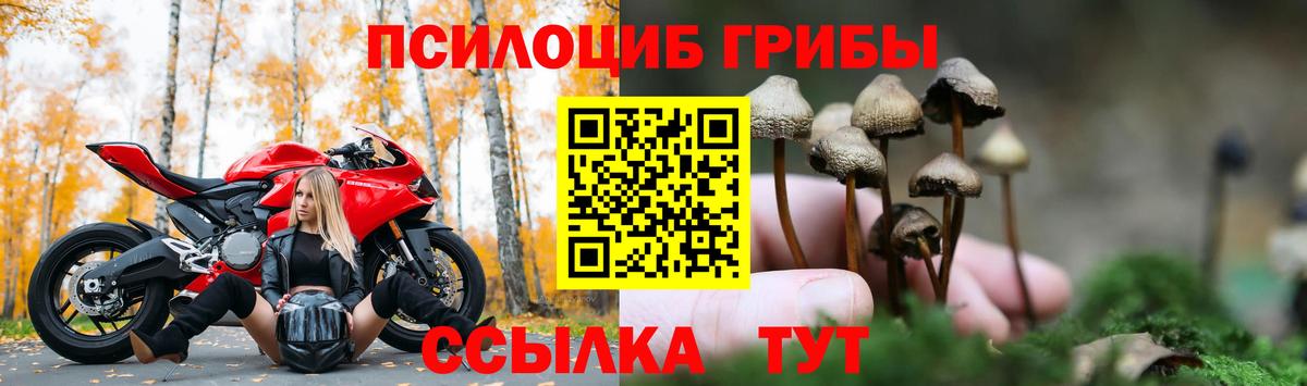 Галлюциногенные грибы прущие грибы Владивосток