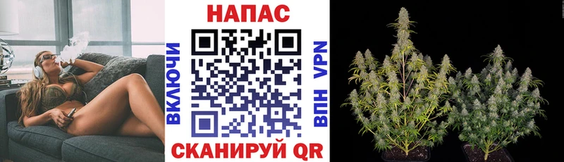 кракен вход  дарк нет какой сайт  Шишки марихуана план  Владивосток 